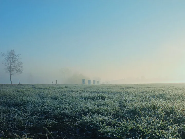 Приклад кадру на плівці Meadow 400