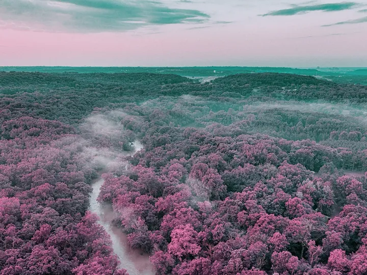 Приклад кадру на плівці Violet 400